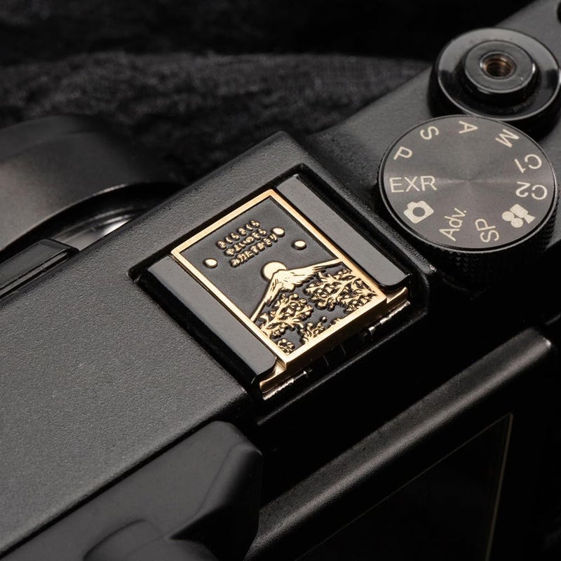 DBZZ Falling Cherry Blossoms Camera Metal Hot Shoe Cover for Fujifilm xpro2 xpro1 x100vi xe5 xt5 xt4 xt3 for Nikon zf zfc df (Copper Alloy-Hot Shoe Cover) - Image 4